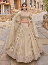 Beige silk lehenga choli with designer dupatta and zari texture
