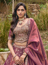 Pastel wine silk lehenga choli with embellished festive dupatta