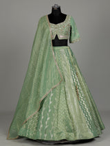 Pista green banarasi tissue silk designer lehenga with dupatta