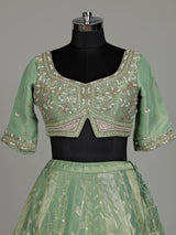 Pista green banarasi tissue silk designer lehenga with dupatta