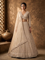 Beige net designer lehenga choli with embellished dupatta