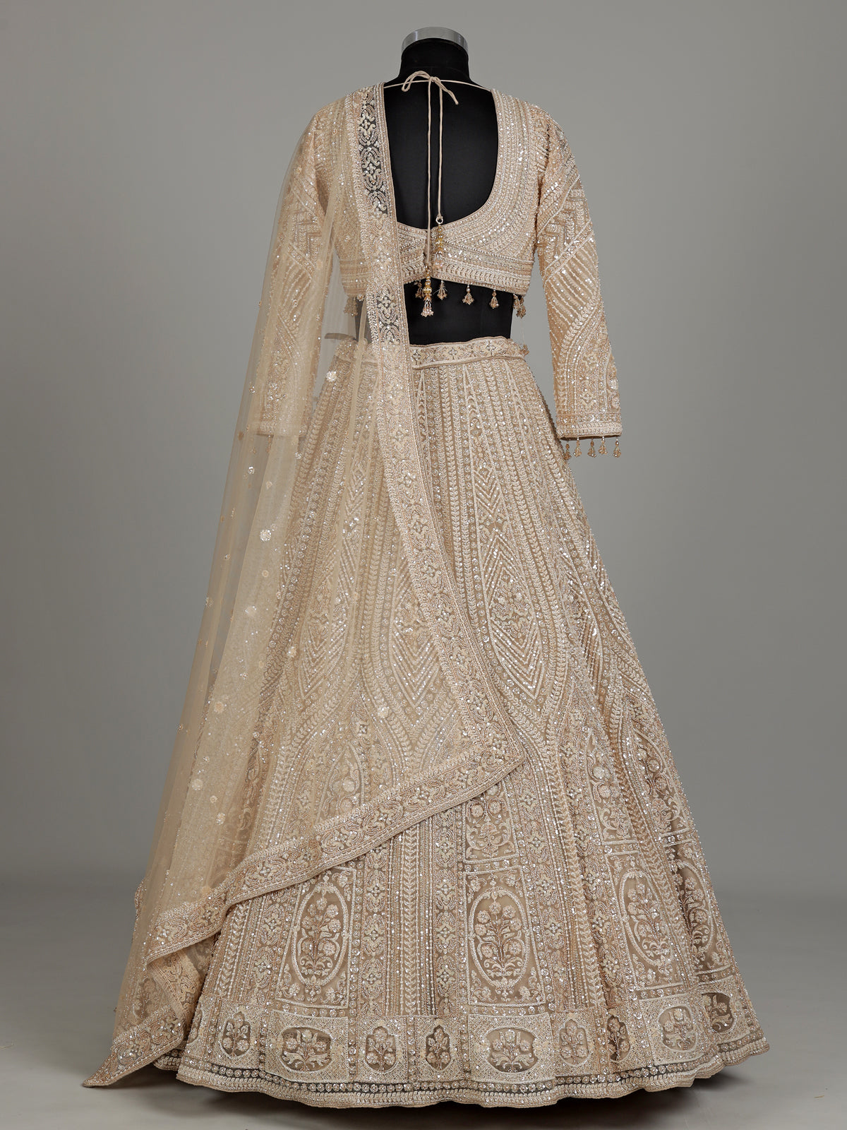 Beige net designer lehenga choli with embellished dupatta
