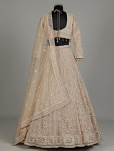 Beige net designer lehenga choli with embellished dupatta