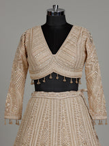 Beige net designer lehenga choli with embellished dupatta