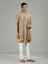Dark beige classic embroidered men kurta suit