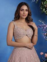 Light pink net lehenga choli with cutdana and sequin embellishments