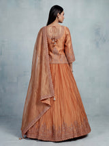 Pastel peach tissue silk lehenga choli with embellished sweetheart neckline
