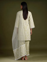 Pista green lily vine women kurti set