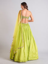 Awesome light green lehenga choli