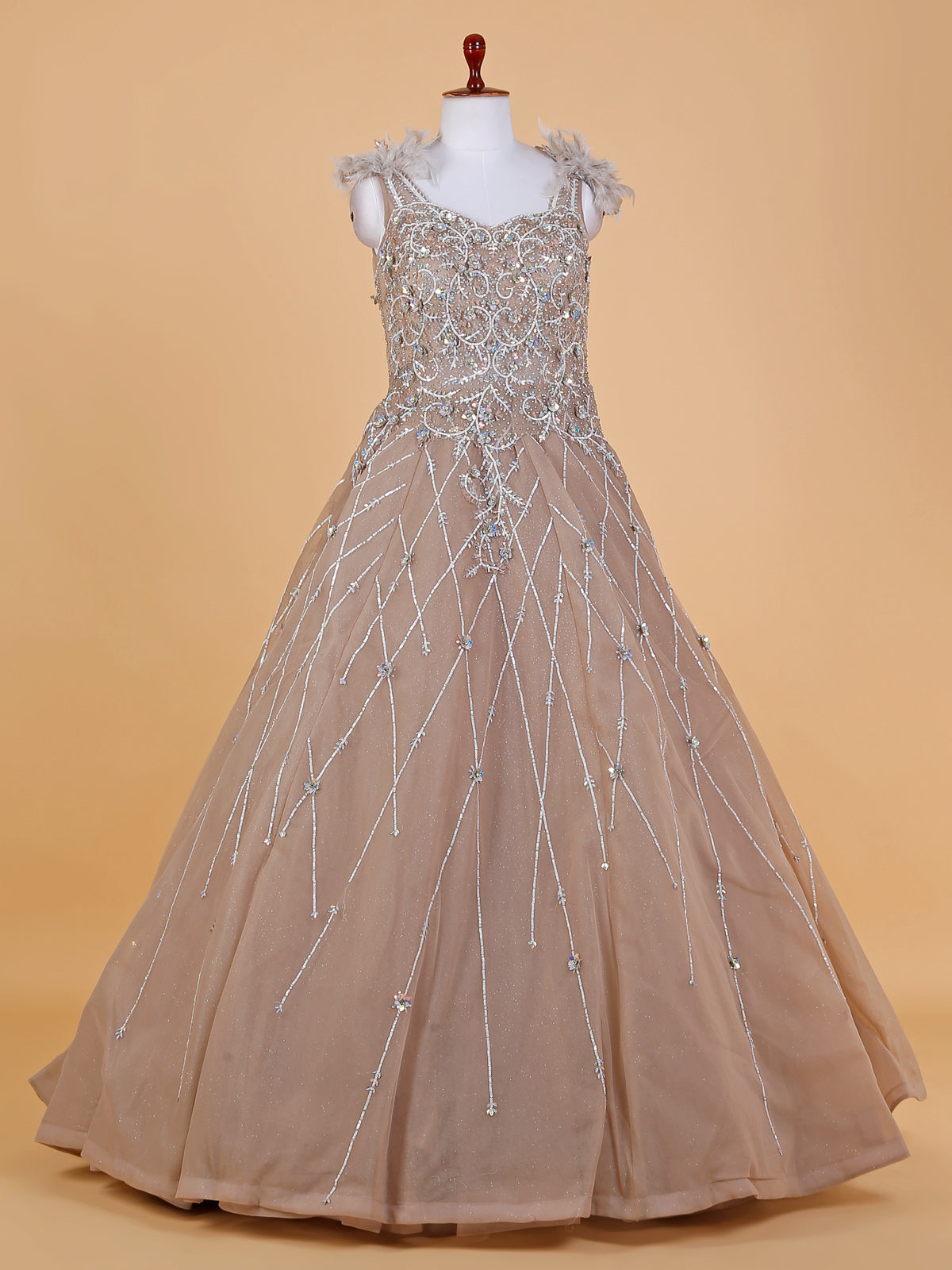 Chic beige net gown