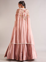 Pretty peach silk lehenga choli