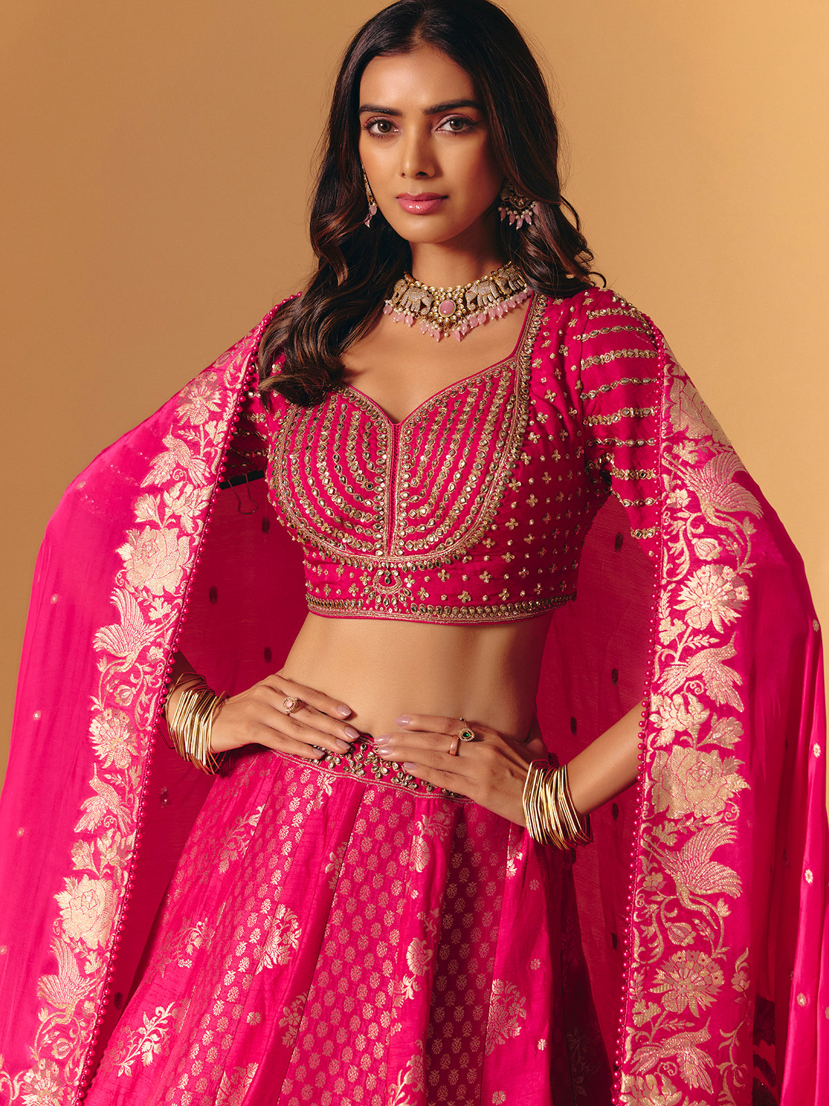 Rani pink banarasi silk embellished lehenga choli