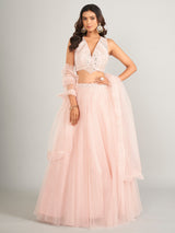 Stunning light pink net lahenga choli
