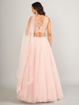 Stunning light pink net lahenga choli