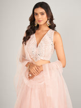 Stunning light pink net lahenga choli
